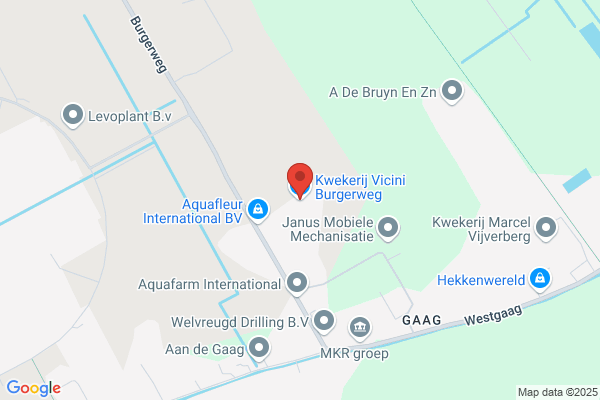 Arend Collection
