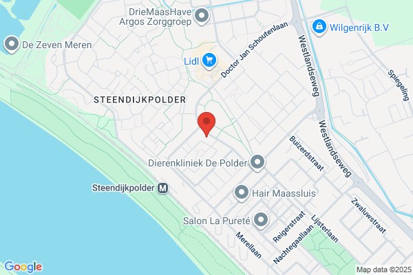 S. V.D. Heijdt