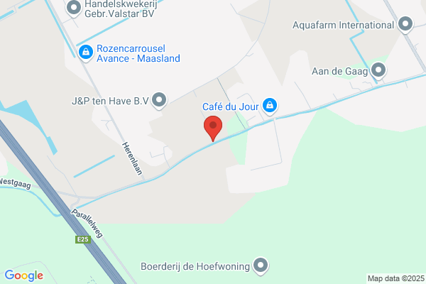 Stal Bv, De
