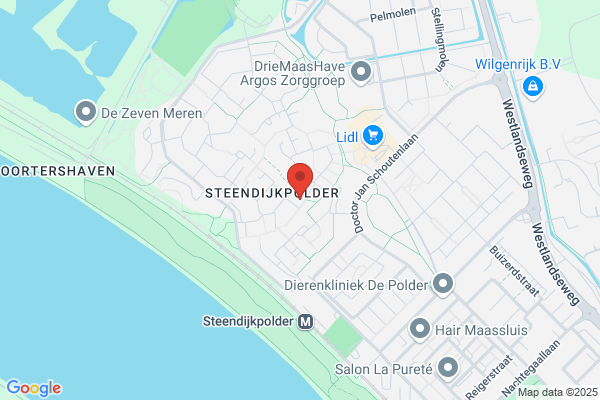 Driessen, Stukadoorsbedrijf