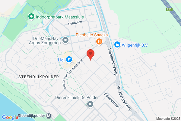 Roest, D
