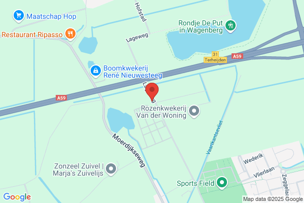 Boomkwekerij Frans van Dongen