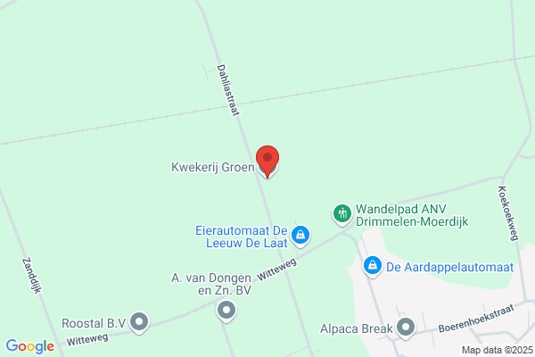 Kwekerij 's Gravenhoorn Bv