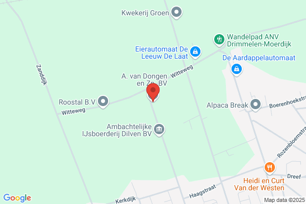 Dongen, Van