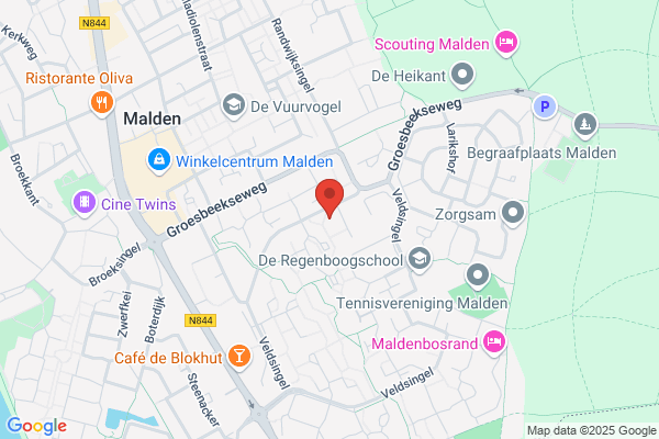 Toos Vodegel