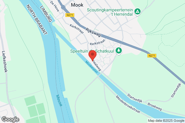 Dolfijn
