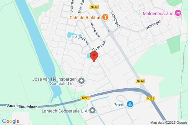Ir. W.C.M. Van Lieshout