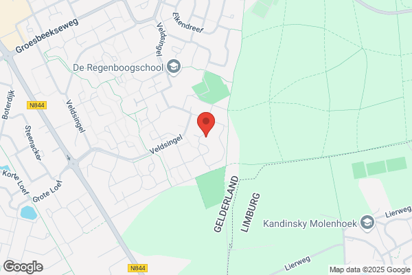 Renckens Advies Bv