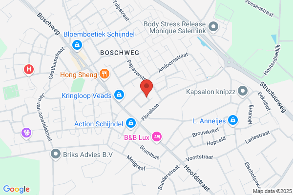 Lin Kapsalon Van