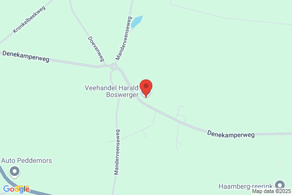 Boswerger, H G A