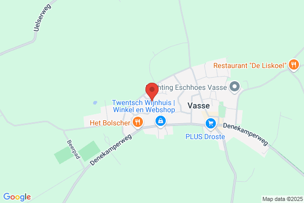 Viaster