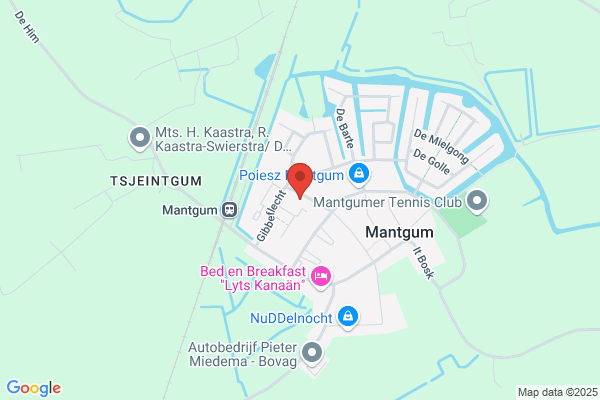 Technisch Bedrijf Electra