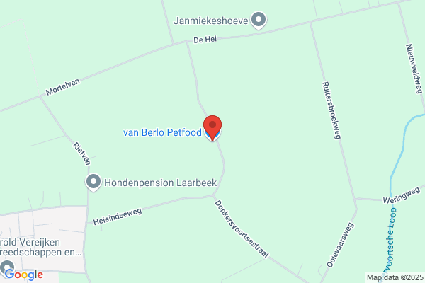 Berlo, Henk Van
