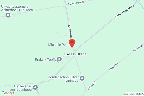 B.D.W. Maatkamp Onderhoud