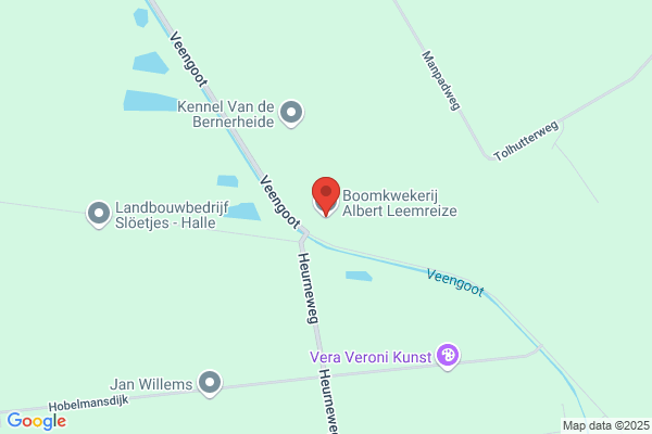 Boomkwekerij Albert Leemreize