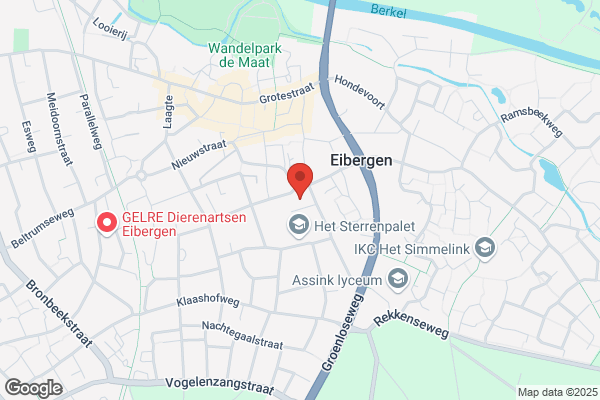 G. Lodders Kaashoek Klassiek Homeopaath