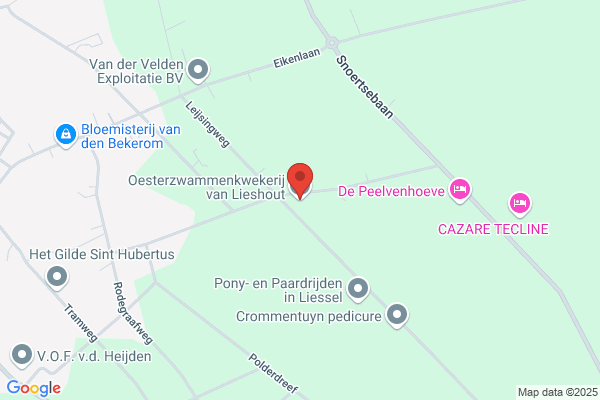 Oesterzwammenkwekerij M.H.G. Reukers