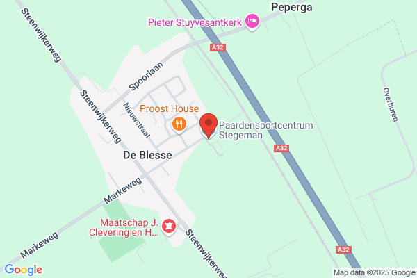 Stegeman, H