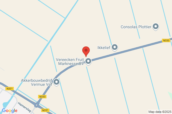 Munsteren, Van