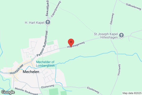 Boszicht