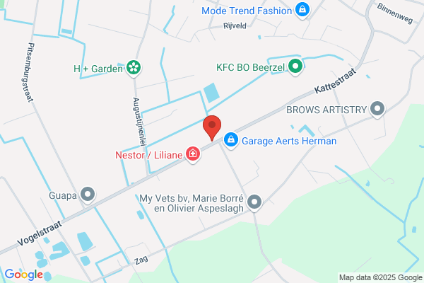 Hartje Van Mechelen, 't