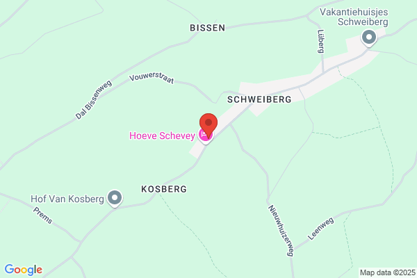 J J H Wetzels