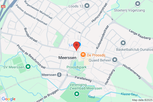 Gouden Microfoon, De