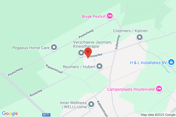 Bioresonanti, Praktijk