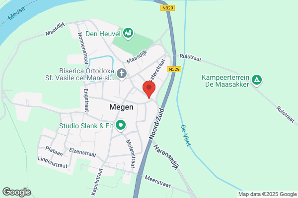 Leeuw, De