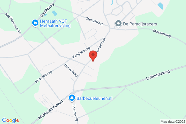 Driessen Blueberries BV