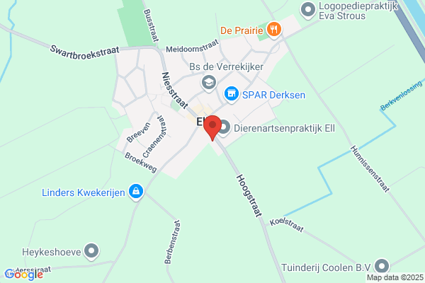 Alferink, Elly