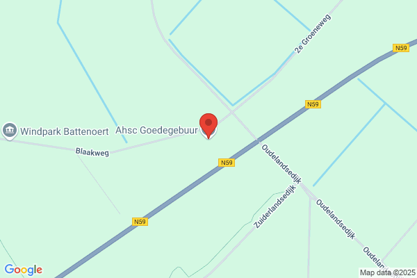 L.M.B. Goedegebuur