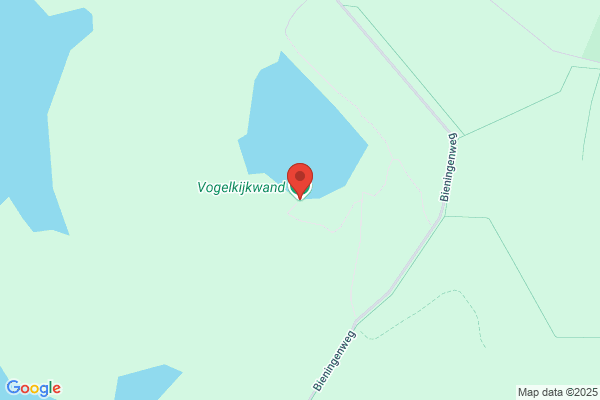 Vogel Bv, W De