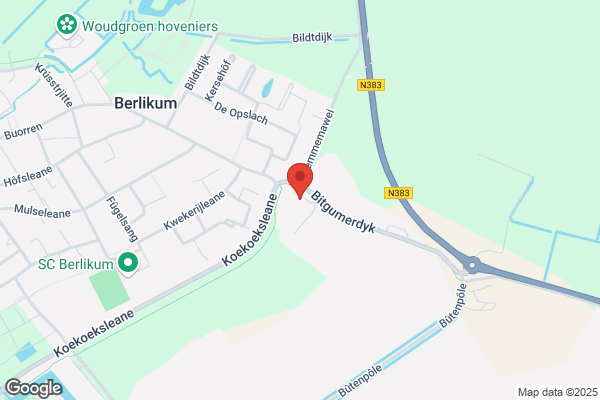 Garage Rinsma Berlikum BV
