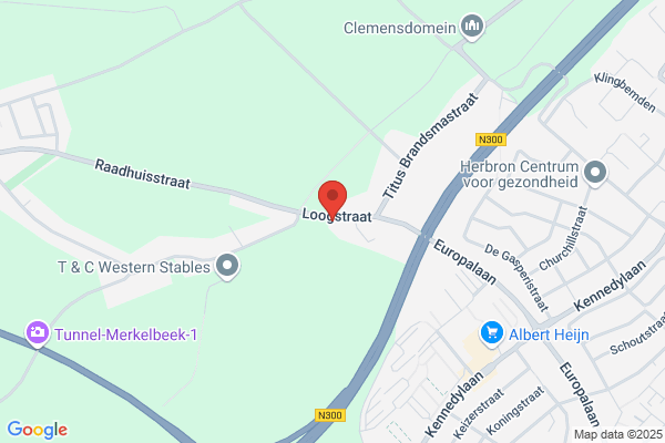 DJ Paul Perfect-Sound Light Music & Video