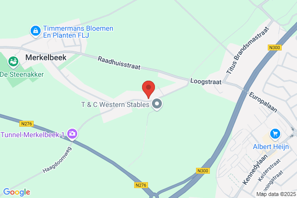 Renssen