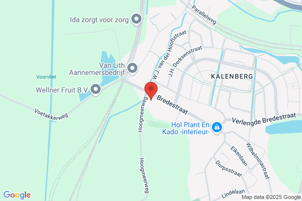 Blom, Lineke