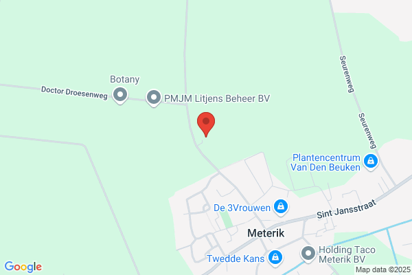 Festimento