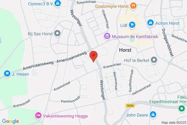 Fysiotherapie Westsingel