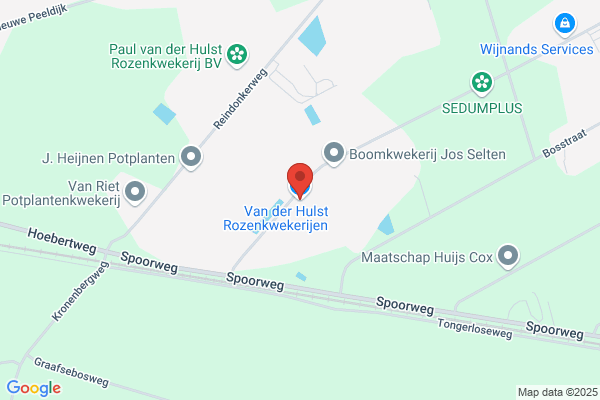 Sjaak Van Der Hulst Rozenkwekerij Bv