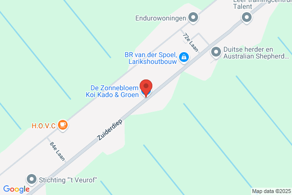 Bloemenboetiek De Zonnebloem