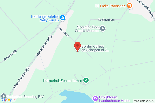 Schapenservice