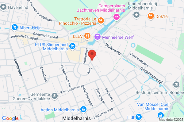 A. Den Hollander-Mijs