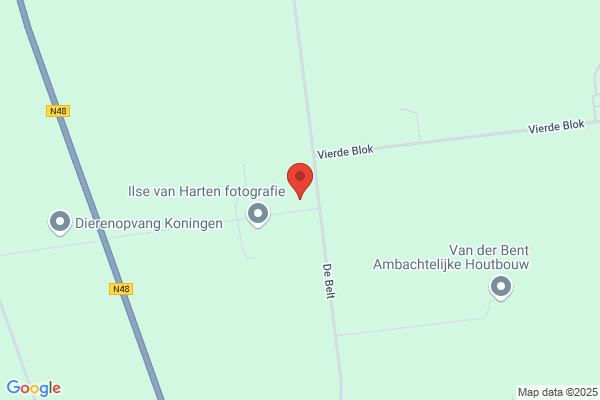 Vinique Wijnimport