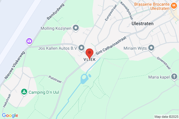 P. Vliek