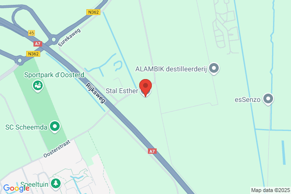 Mens En Paard In Harmonie