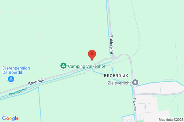 Metselaar D