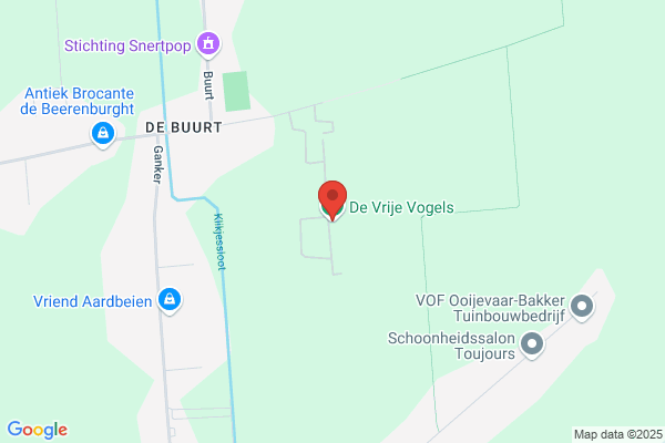 Vrije Vogels, De