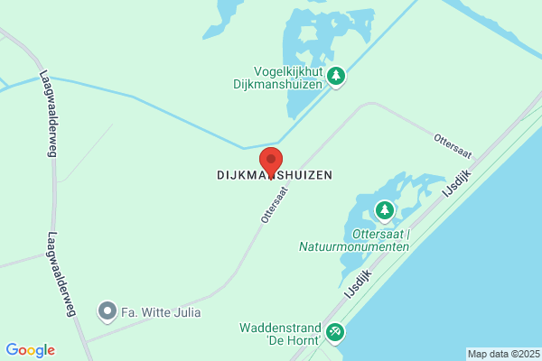 De Lieuwe