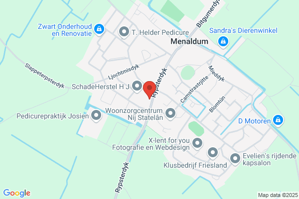 T.E.M. Fryslan